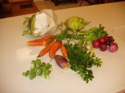 Winter’s Fast Food Image